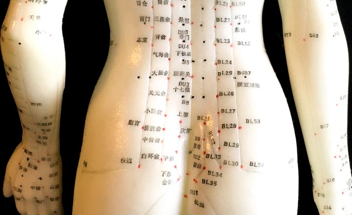 well-being, tradiational, acupuncture, chinese medicine, health, healing, pain, skin, littlehampton, natural, LNHC, west sussex, littlehampton natural health centre