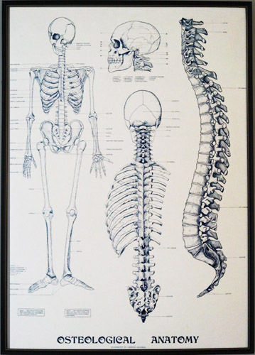 Osteopath in Littlehampton, Rustington, Bognor, Regis, Littlehampton, Rustington, Climping, Bognor Regis, Felpham, Yapton, Arundel, Worthing, West Sussex, Natural Health, Physio, Healthcare, Osteopath, Chiropractor, Well-being, Counselling, Massage, Sports Massage, Relaxation, Pregnancy, Rehabilitation, Podiatry, Podiatrist, Chiropody